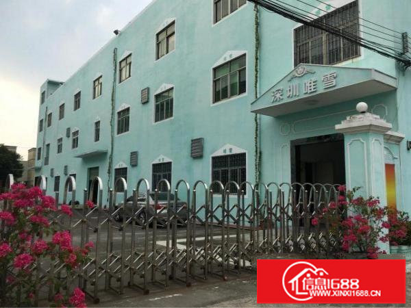 龙岗坪地5000平米独院厂房出租