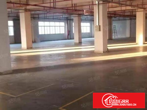 头镇单层面积3300平方，带现成装修地坪漆，吊顶等厂房出租