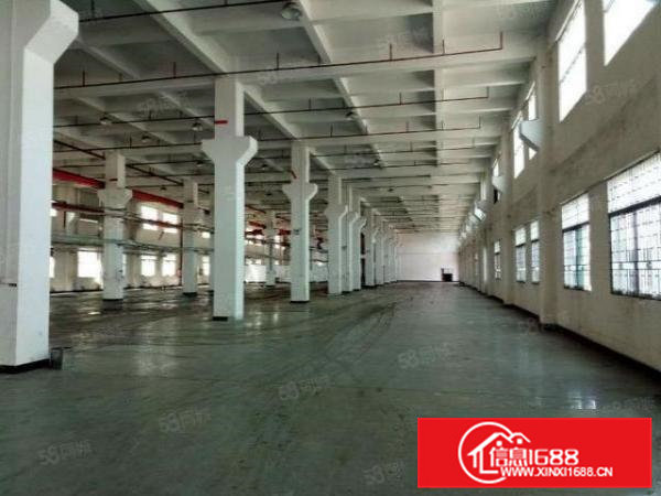 常平靠黄江新出标准厂房招租8米高一楼1100平米