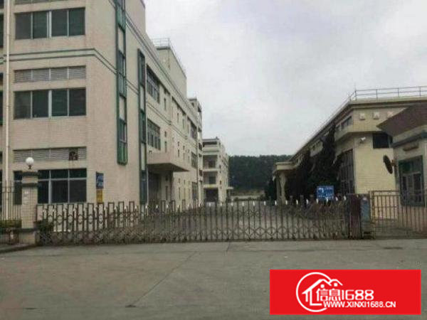 常平袁山贝新标准厂房一楼1200平米原房东有消防