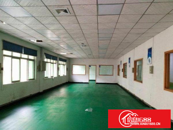 出租龙岗区坂田新出1000平标准楼上，带吊顶装修原房东