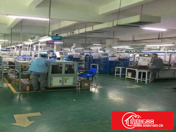 惠阳新圩独院标准厂房分租6001000平形象好