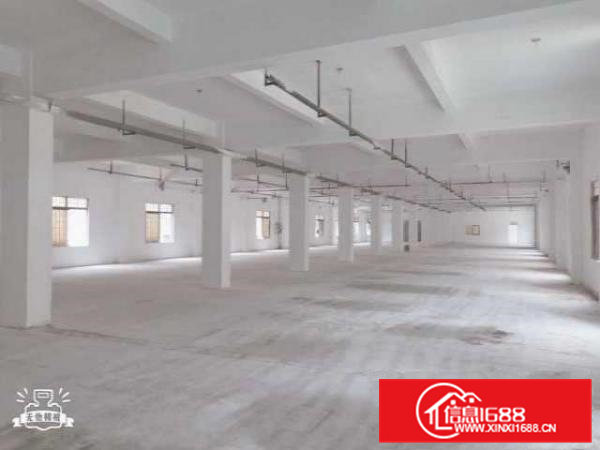 清溪荔横楼上可做电子五金加工厂房2800平可以分租