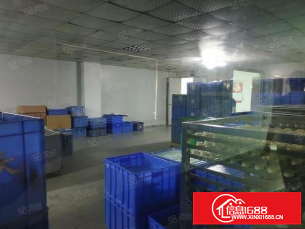 原房东四楼1600平方，厂房出租，带装修