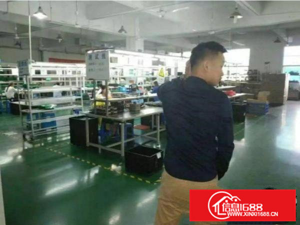 清溪土桥新出原房东楼上1200平方带装修厂房招租