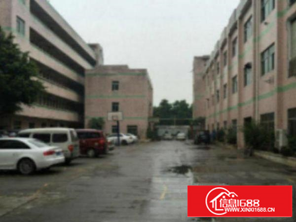 万江独院标准厂房1-3层6500平方出租现成水电;电按需;适