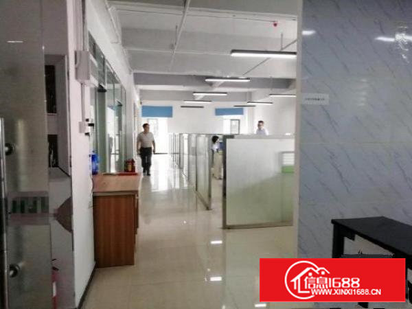 西乡，鹤洲，新出带精装修办公厂房500平出租