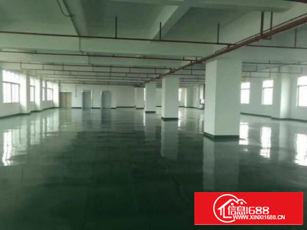 万江周边标准独院400-3000平方厂房招租分租