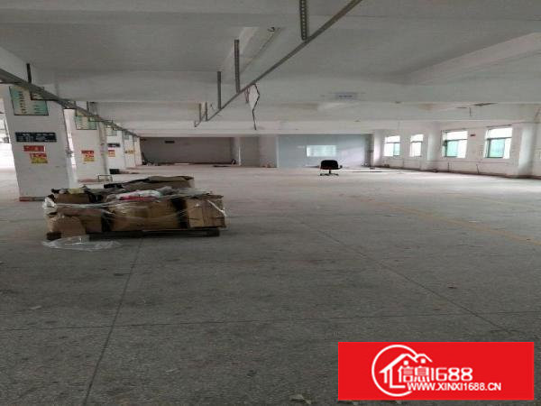 龙岗中心城新生独院厂房招租7700平米可分租