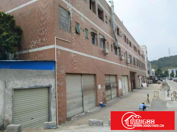 出租龙岗区横岗大康3900平独院厂房