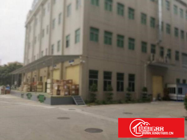 清溪镇渔梁围管理区新出标准一楼滴水七米1600平厂房出租