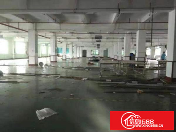 龙岗坪地龙岗大道旁（花园式）原房东厂房招租合同长实际面积