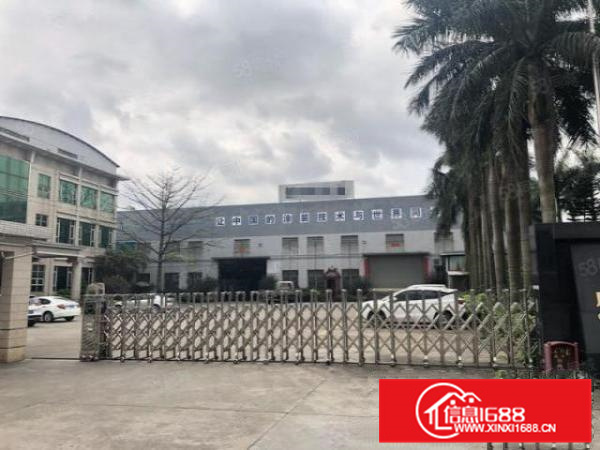 独立办公厂房6000方，带空地，好进车，有证件，不在拆迁区域