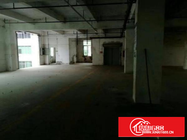 高埗独院标准厂房一楼3000平方出租适合五金、机械等行业