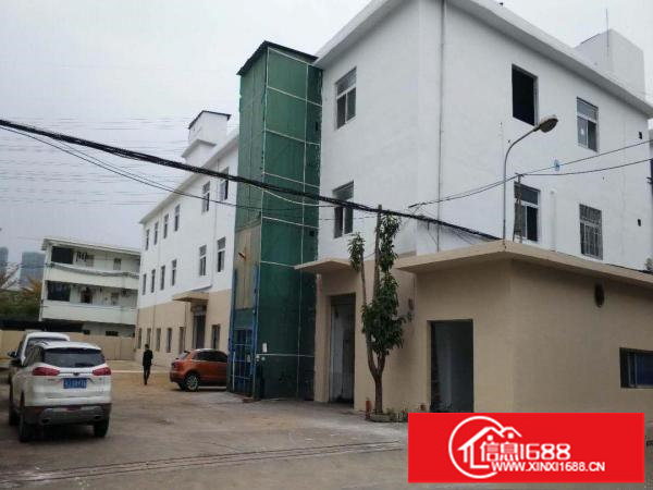 （出租）横岗荷坳【原房东】二楼1000平