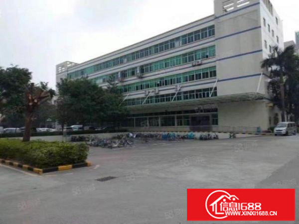 布吉红本原房东空地超大园区可申请政府补贴招租.