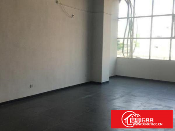 龙华新出来的做商业模式