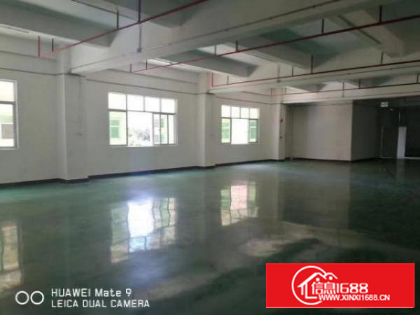 独院标准厂房出租，空地超大。