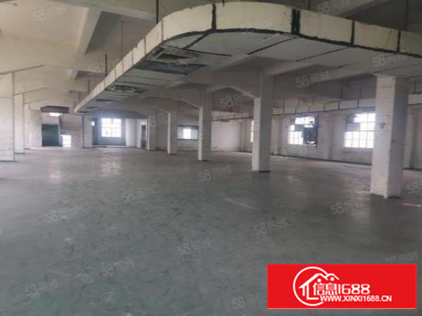 茶山新经5000平典独门独可分租院靠石大路边上价格实惠