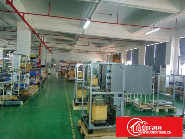 龙岗新生低山园区800平精装修厂房出租