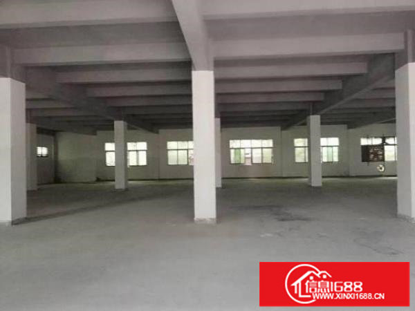 白鸽湖八百平带红本独门独院厂房出租一百分租整租