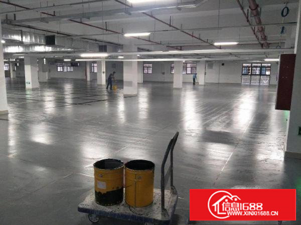 高新科技园区全新厂房