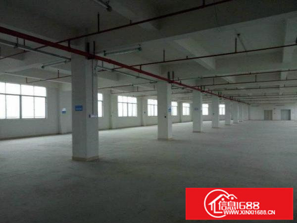 龙岗坪山业主直租精品独院厂房6500平方米出租