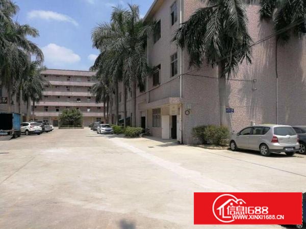 龙岗同乐新出独院厂房三层4000平米出租可分租