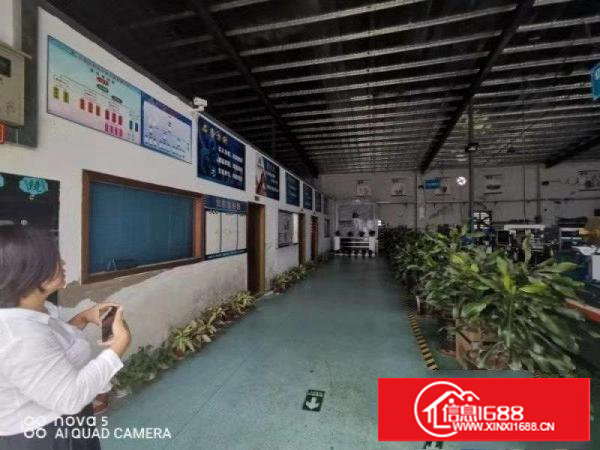 原房东~沙湖带装修1500平方的钢构独院厂房~挨大坪高速出口