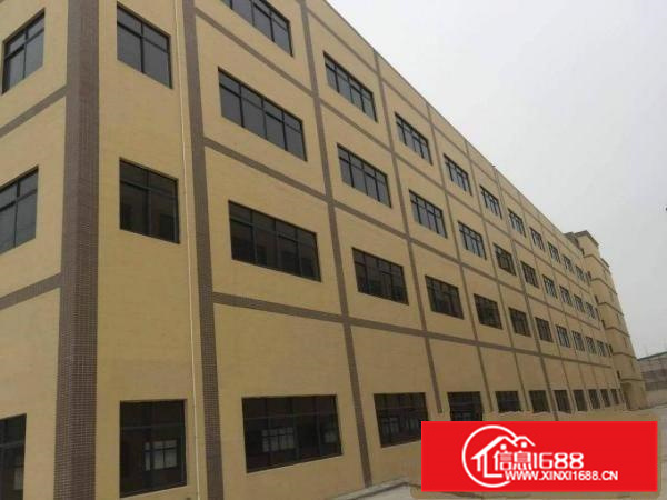 惠州市博罗县罗阳镇新出一楼标准厂房800方