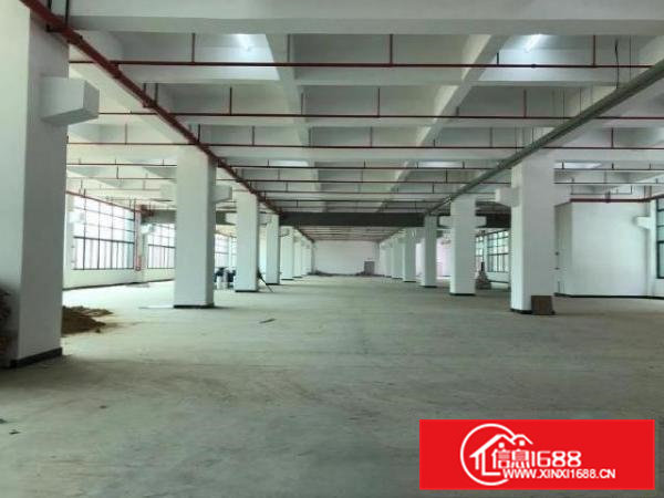 横沥三江工业区旁全新红本厂房招租，承重1.5吨每平方。