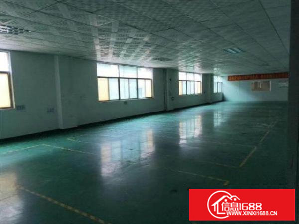 常平镇月底空出楼上两层1600平厂房