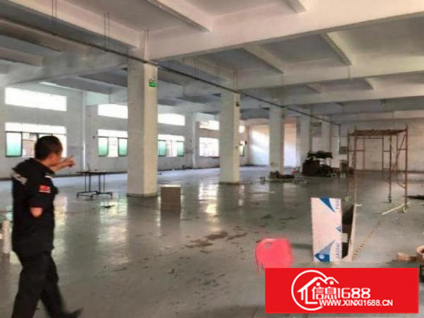 横岗安良新出独院3000平方公摊小单价20