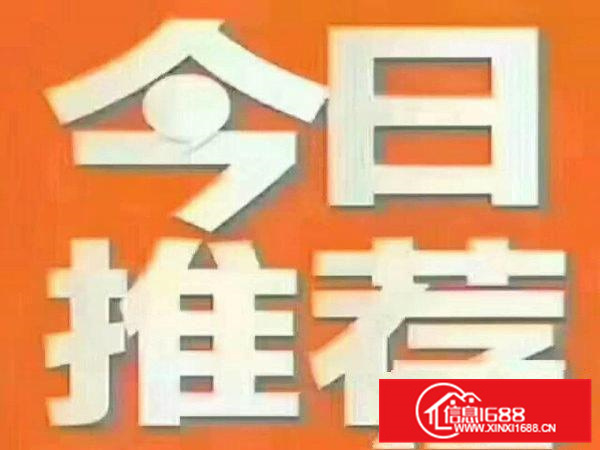 金凤凰新出楼上带装1480平，水电齐全，