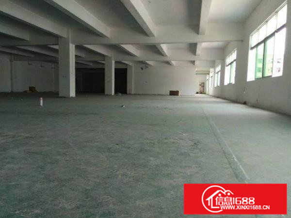 原房东独门独院标准厂房出租