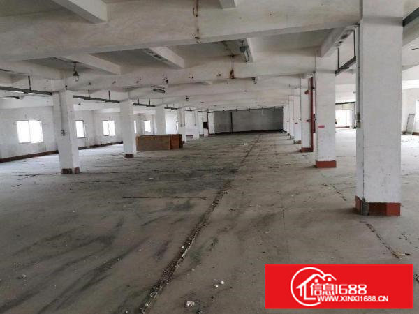 原房东，实际面积出租，价格实惠