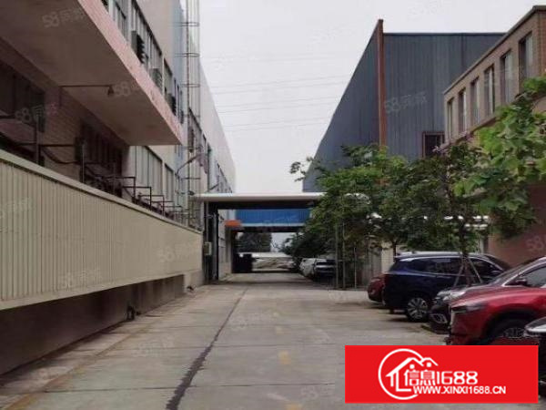 9月15日盘源狮山招大1650方，独院出租