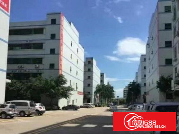 沙井沙一华丰国际智造城大型园区