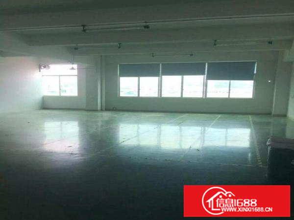 精品上雪科技园1200平带装修整层厂房吉华路