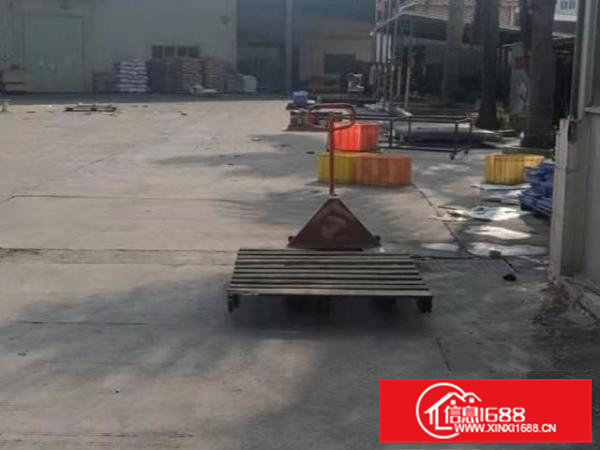 原房东独门独院单一层厂房出租