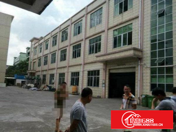 石岩料坑2楼厂房400平米！地坪漆办公室，适合小加工生产