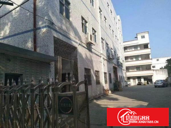 龙岗宝龙龙东4600平米独院出租，可分租