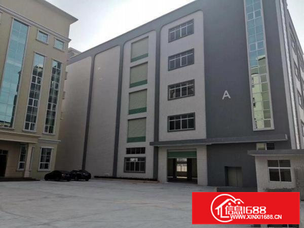 寮步镇新出带装修标准厂房