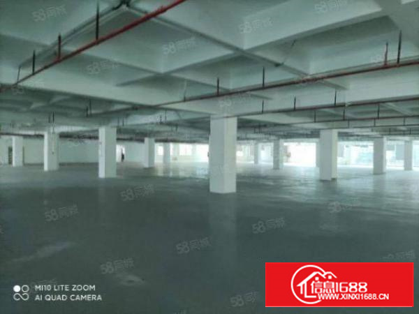 带地坪漆形象非常好茶山镇原房东独院标准厂房1500平方出