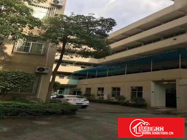 大朗镇独门独院上市公司1万平出租