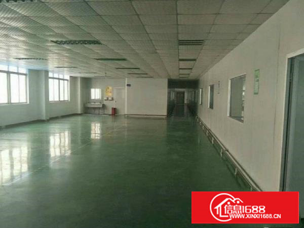 塘厦高速口四村独院楼上850平方地坪漆地面采光通透