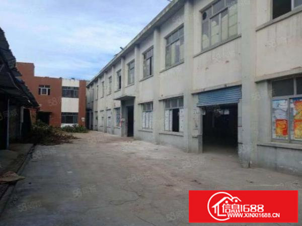 金碧路边红本厂房大小可分租500平米出租一楼高5.5米无公摊