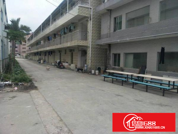 镇隆厂房路边8米高2800平米出租（可分租）