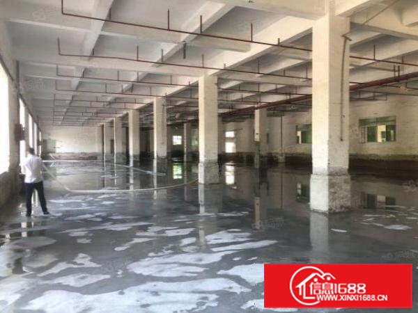 东莞高埗镇独门独院标准厂房约25320平方米