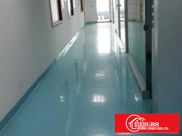 豪华装修，分租宝安沙井1000多平方米厂房，非中介